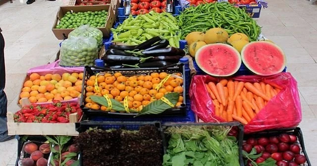 Tahıl, meyve ve sebze üretiminde artış bekleniyor