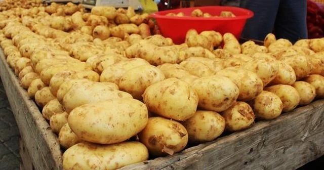 Dikkat, patates fiyatlarında büyük düşüş