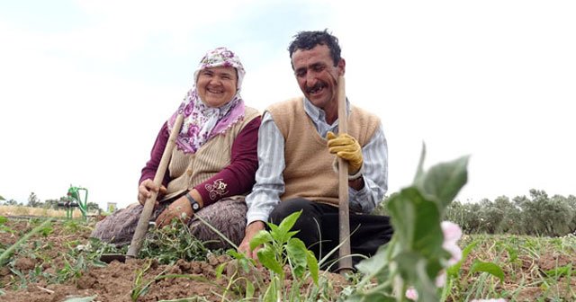 Eşine böbreğini verdi