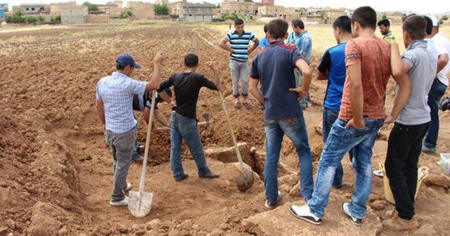 Tarla sürüyordu ki bakın neye takıldı!