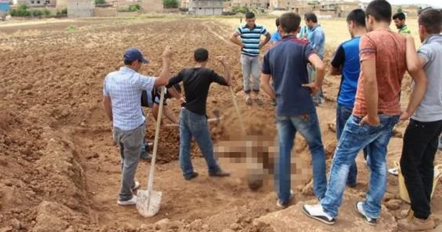 Tarla sürüyordu ki bakın neye takıldı