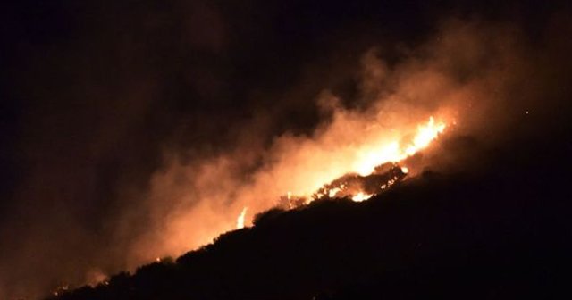 Bodrum'da korkutan yangın