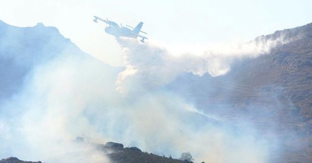 Bodrum&#039;da makilik alanda yangın çıktı