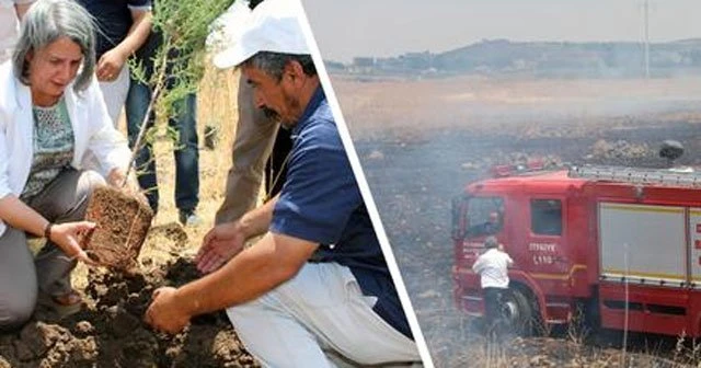 Diyarbakır'da fidan diken HDP'li vekillere saldırı