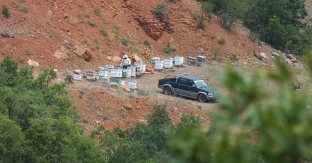 Konya&#039;da arılar saldırdı, 13 yaralı