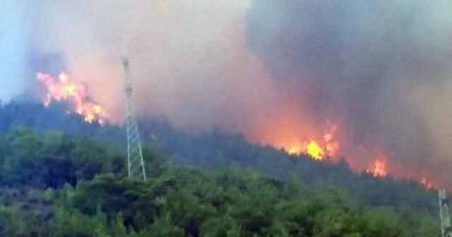 Mersin&#039;de orman yangını