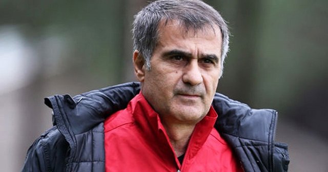 Şenol Güneş&#039;ten çarpıcı açıklamalar