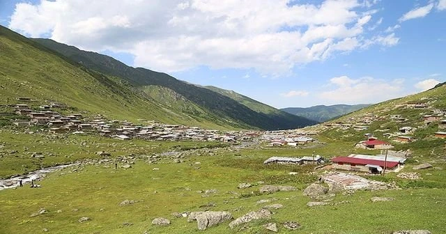 Yeşil Yol Projesi için imza kampanyası