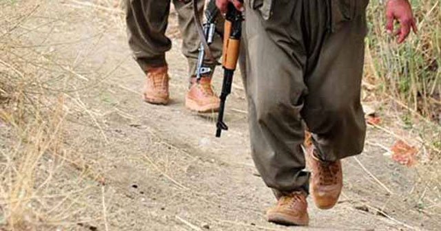 38 günde 34 şehit... Öldürülen PKK&#039;lı sayısı da belli oldu