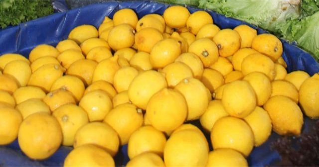 5 kilo karpuz fiyatına 1 limon