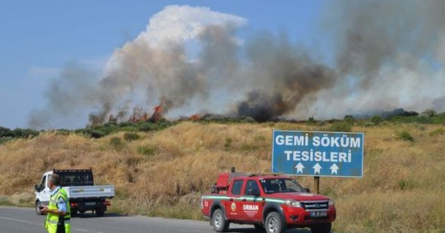 Aliağa&#039;da orman yangını