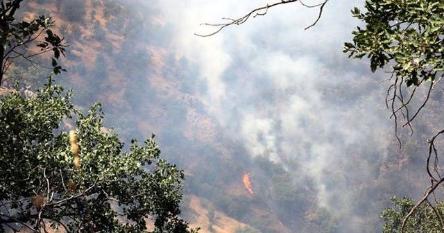 Cudi Dağı&#039;ndaki yangını söndürmek için vatandaşlar seferber oldu