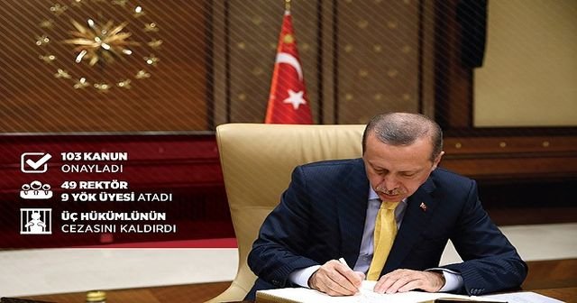 Cumhurbaşkanı Erdoğan görevdeki ilk yılında tarihe geçti