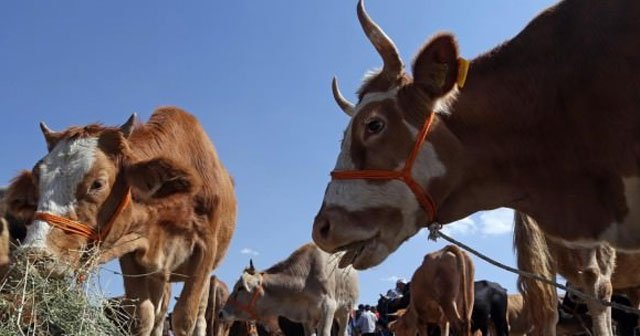 &#039;Terör olmazsa parlak bir gelecek bekliyor&#039;