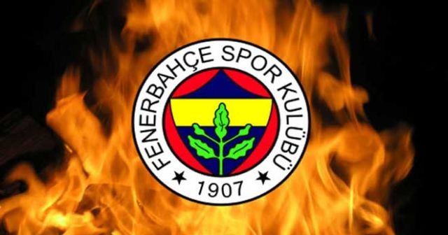 Fenerbahçeli futbolcu Bruno Alves milli takımdan çıkarıldı