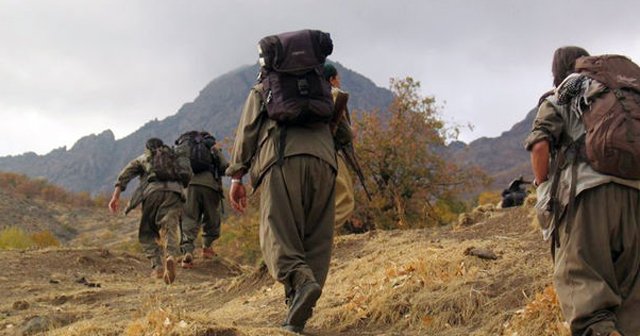 Mardin&#039;de 2 PKK&#039;lı tutuklandı