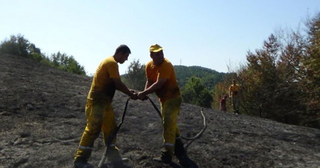 Zonguldak&#039;ta orman yangını