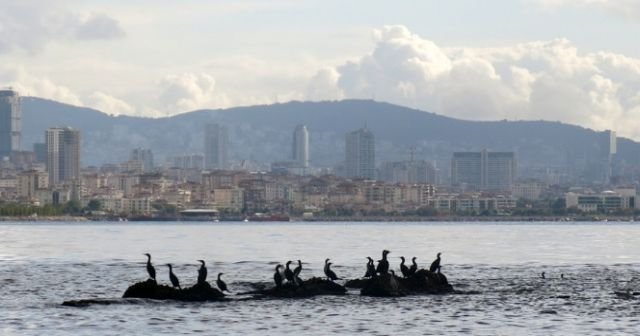 İstanbul’un kayıp adası gün yüzüne çıkıyor