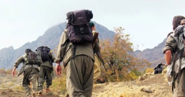 PKK muhtarı kaçırdı