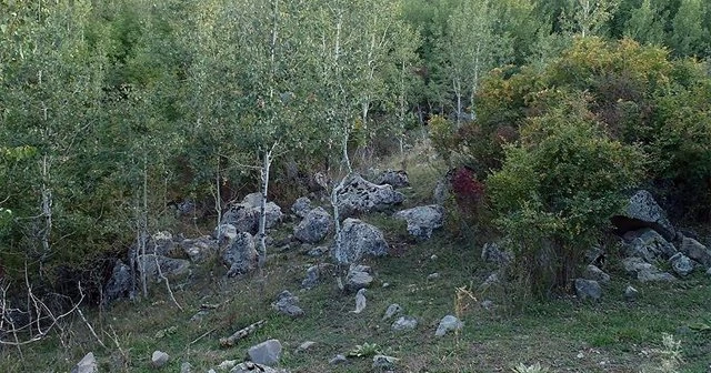 Şırnak ve Iğdır'da terör operasyonu