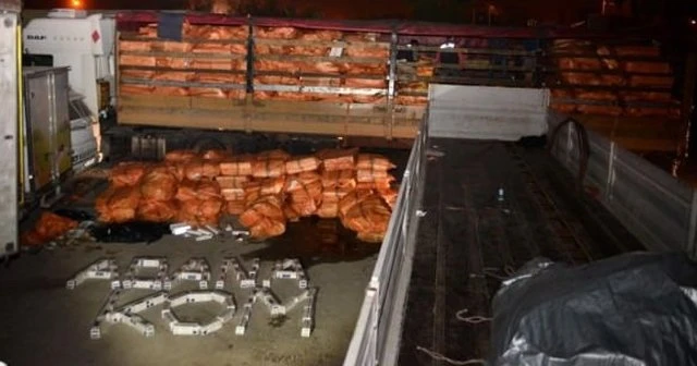 500 bin paket kaçak sigara çıktı