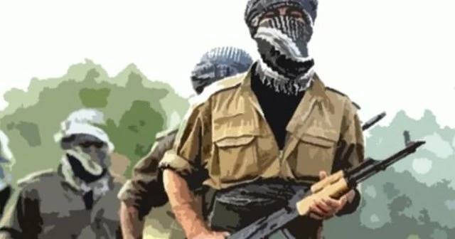 8 PKK'lı daha teslim oldu