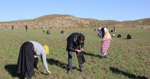 Akın akın Bingöl&#039;e göktaşı aramaya geliyorlar