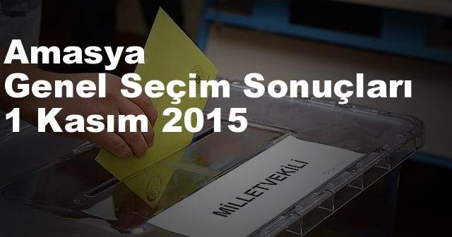 Amasya Seçim Sonuçları, 2015 Genel seçim sonuçları