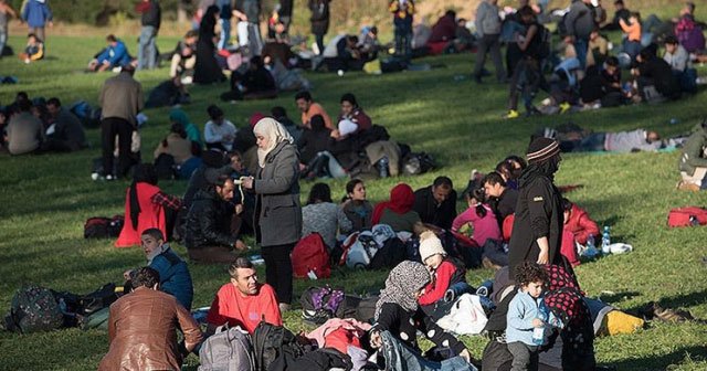 Avusturya hükümetine 'insan kaçakçılığı' davası