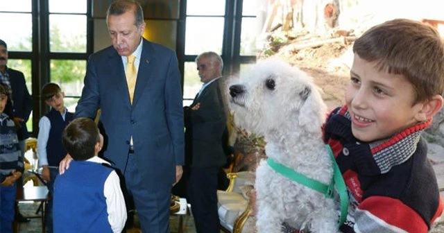 Erdoğan Ömer Faruk'un isteğini kırmadı