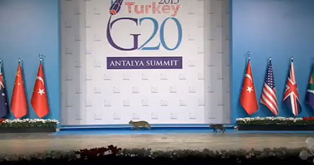 G20'de ilginç anlar, herkesi gülümsetti