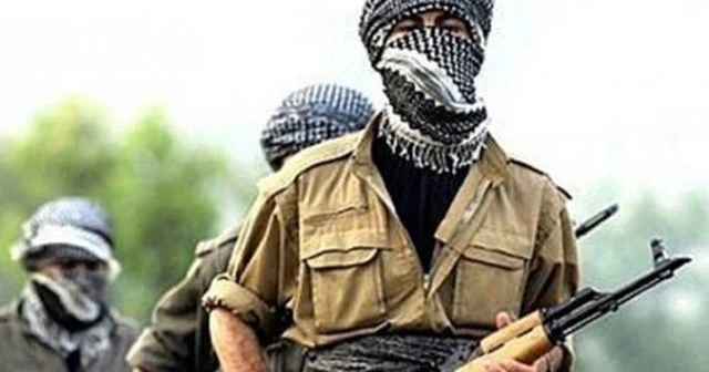 Şırnak'ta 9 terörist teslim oldu