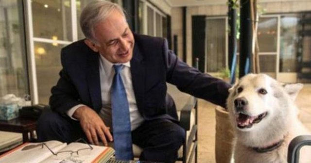 Netanyahu&#039;nun köpeği konuklarını ısırdı