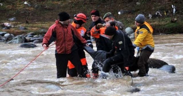 Rize&#039;de otomobil dereye uçtu, 1 ölü, 5 yaralı