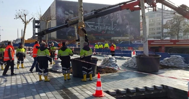 Taksim Meydanı’na ilk ağaç dikildi