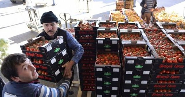 Türkiye&#039;nin meyve-sebzesine ilk müşteri çıktı