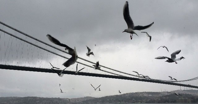 Türkiye'nin Rusya'yı korkutan kozu