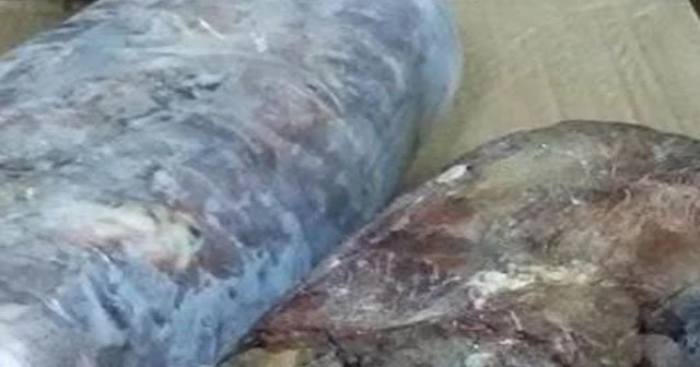 Bingöl’de 14 ton kaçak et ele geçirildi