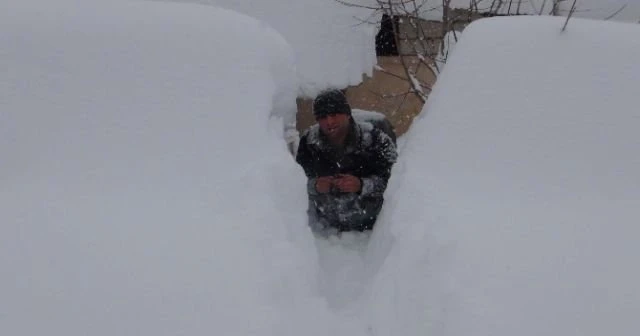 Bitlis'te tek katlı evler kayboldu