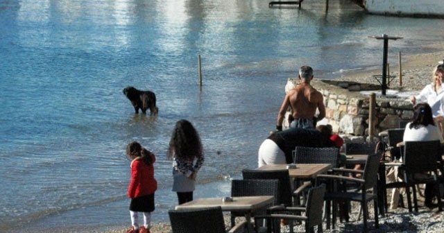 Bodrum’a kış gelmedi