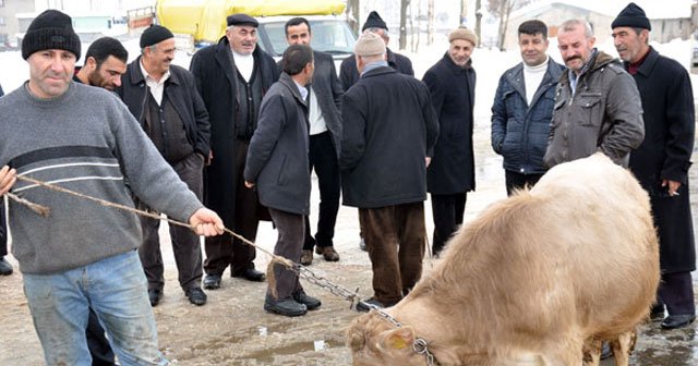 Sahnede ve hayvan pazarında ekmek kavgası