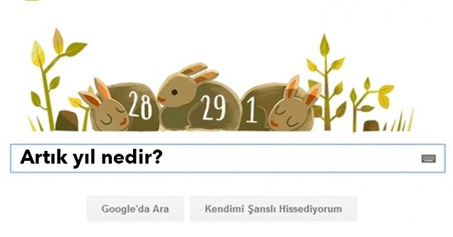 Artık Yıl Nedir Neden Google&#039;da Doodle Oldu, Artık Yıl 29 Şubat Google&#039;da Neden Var