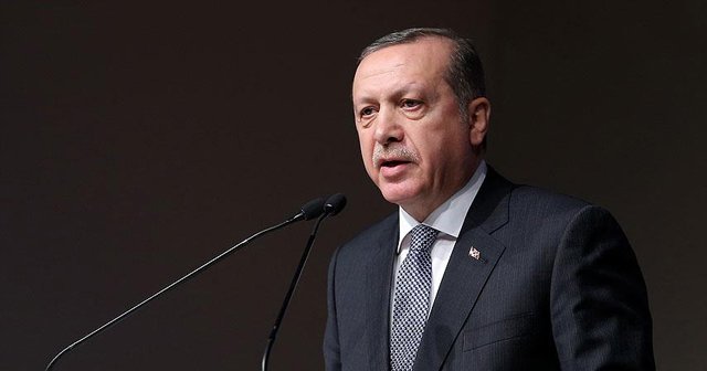 Cumhurbaşkanı Erdoğan, 'Bunlar yavru Gezici'