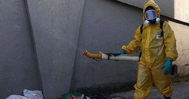 Florida&#039;da Zika virüsü alarmı