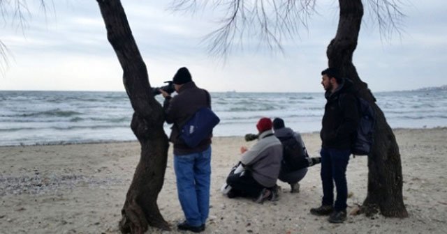 Kuş fotoğrafçıları İstanbul&#039;a akın etti