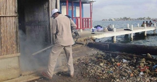 Sağlık Bakanlığı&#039;ndan &#039;Zika virüsü&#039; broşürü