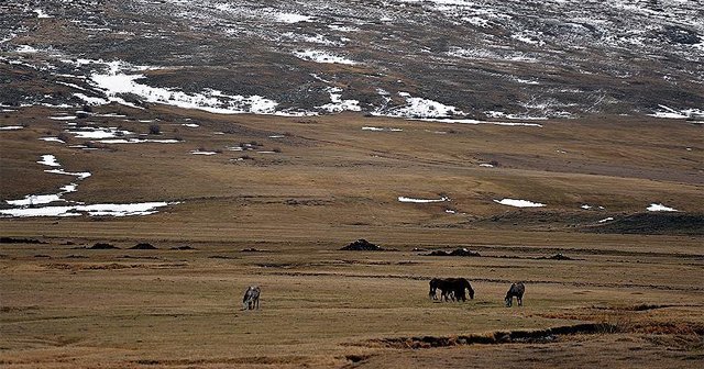 Ardahan&#039;da bazı alanlar &#039;özel güvenlik bölgesi&#039; ilan edildi