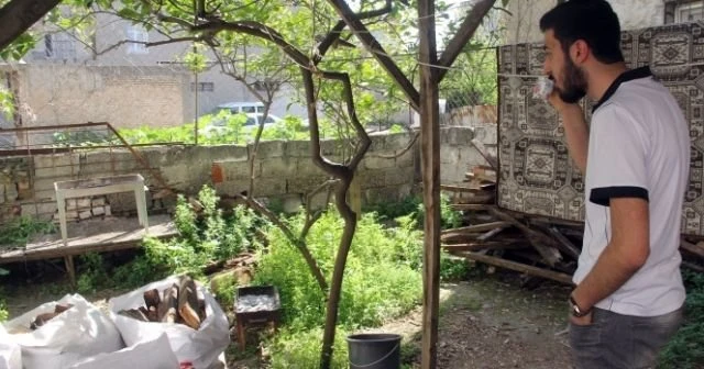 Mahallede tilki paniği