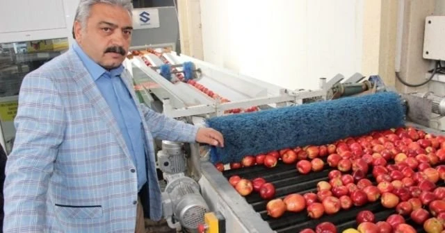 '50 bin ton elma depoda kaldı'