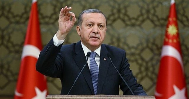 Erdoğan&#039;ın önerisine uzmanlar da destek verdi